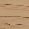 ALT ab 01.2023 Kaminofen Drooff Aprica 2 Plus Trend raumluftunabhängig RLU SandStone