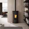 Edilkamin Pelletofen Cherie 11 Evo Air Tight C (RLU) Stahl bronze