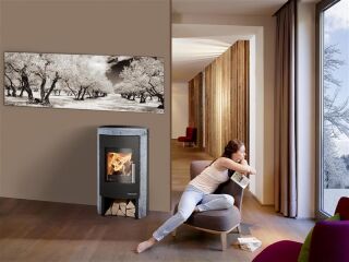 ALT Haas+Sohn Kaminofen Home BALI easy BALI 296.17-ST Speckstein Antik 0429617030000