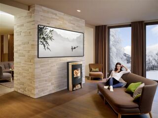 Haas+Sohn Kaminofen Home BALI easy BALI 296.17-ST Woodstone 0429617000000