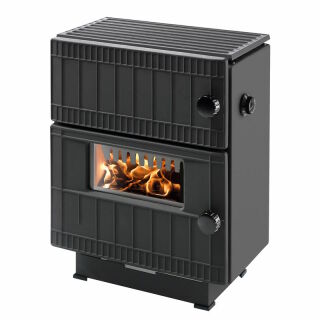 ALT ab Mitte 23 Haas+Sohn Kohle Dauerbrandofen Home HSDB 1.0