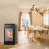 Haas+Sohn Pelletofen Home HSP 2.17 HOME-II perl-grau