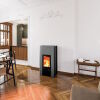 Haas+Sohn Pelletofen Premium HSP 6 PALLAZZA III