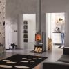 Kaminofen TermaTech TT20R schwarz SOFORT lieferbar