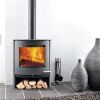 Kaminofen TermaTech TT22 schwarz