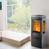 ALT ab Feb 23 Kaminofen TermaTech TT30GS schwarz mit Specksteinseiten und Seitenglas