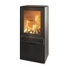 ALT ab Feb 23 Kaminofen TermaTech TT60 schwarz