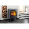 ALT ab 29.07.22 Kaminofen TermaTech TT22RPS, schwarz