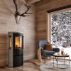Kaminofen Termatech TT23 RGS mit Seitenglas und Speckstein